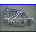 High Quality Competitive Price Umbrella Head Roofing Nail